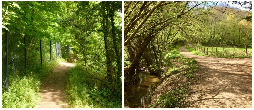 Dardilly et les monts du Lyonnais